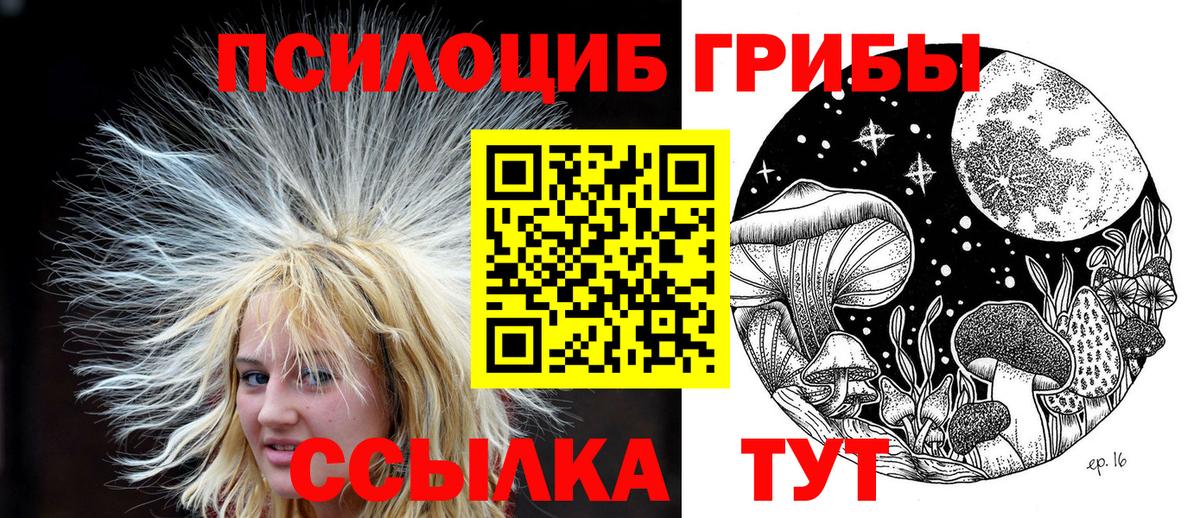 Галлюциногенные грибы ЛСД  Галлюциногенные грибы Psilocybine cubensis  Вход с VPN  Минусинск 